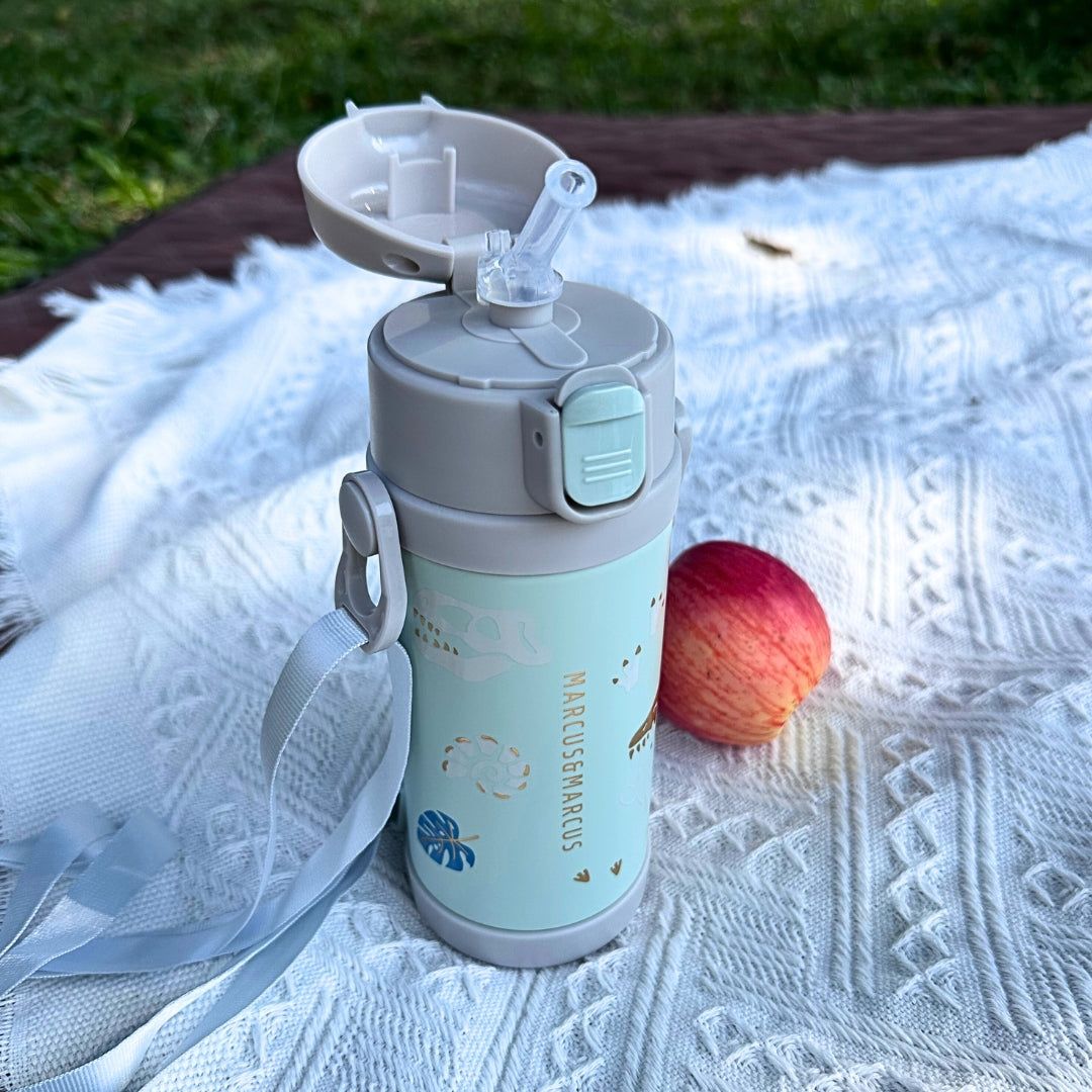 Straw & Spout Insulated Water Bottle (350ml)