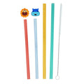 Reusable Straws Family Set
