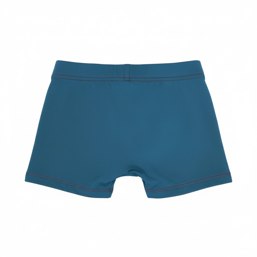 Marcus & Marcus Toddler Swim Boxers – Blue "Surfing Lion" (18M - 4T)