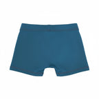 Marcus & Marcus Toddler Swim Boxers – Blue "Surfing Lion" (18M - 4T)